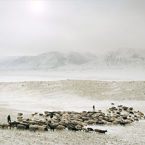 Ethnologie: Nordafghanistan: Ein Winter bei den Pamir-Kirgisen
