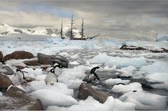 Antarktis: Unter Segeln zum Südpol - Bild 4