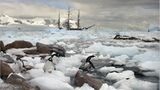 Antarktis: Unter Segeln zum Südpol - Bild 4