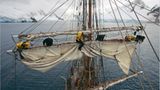 Antarktis: Unter Segeln zum Südpol - Bild 5
