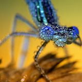 Die besten User-Fotos - Februar 2009