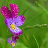 Die besten User-Fotos - Februar 2009 - Bild 2