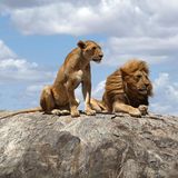 Die besten User-Fotos - Februar 2009 - Bild 5