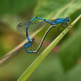 Die besten User-Fotos - Februar 2009 - Bild 7