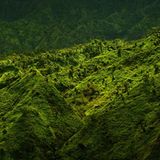 Die besten User-Fotos - Februar 2009 - Bild 8