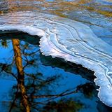 Die besten User-Fotos - Februar 2009 - Bild 10