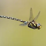 Die besten User-Fotos - Februar 2009 - Bild 18