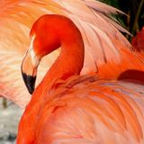 Die besten User-Fotos - Februar 2009 - Bild 19