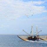 Die besten User-Fotos - Februar 2009 - Bild 20