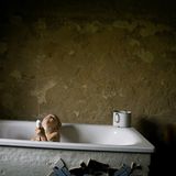 Fotoshow: UNICEF-Foto des Jahres 2008 - Bild 5