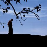 Fotogalerie: Das Indien Siddharthas - Bild 8