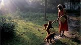 Fotogalerie: Das Indien Siddharthas - Bild 9