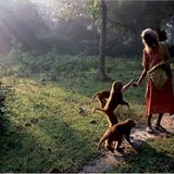 Fotogalerie: Das Indien Siddharthas - Bild 9