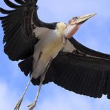 Die besten User-Fotos - März 2009 - Bild 2