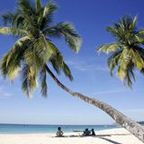 Die besten User-Fotos - März 2009 - Bild 3