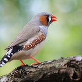 Die besten User-Fotos - März 2009 - Bild 4