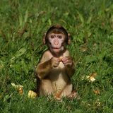 Die besten User-Fotos - März 2009 - Bild 7