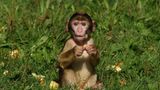 Die besten User-Fotos - März 2009 - Bild 7