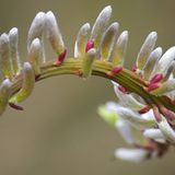 Die besten User-Fotos - März 2009 - Bild 8