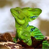 Die besten User-Fotos - März 2009 - Bild 9