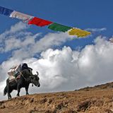 Die besten User-Fotos - März 2009 - Bild 13