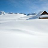 Die besten User-Fotos - März 2009 - Bild 14