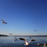 Die besten User-Fotos - März 2009 - Bild 15