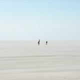 Die besten User-Fotos - März 2009 - Bild 17