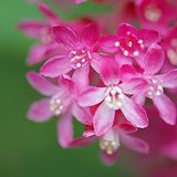 Die besten User-Fotos - März 2009 - Bild 18