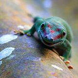 Die besten User-Fotos - März 2009 - Bild 20