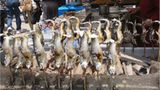 Fotostrecke: Tokio aus Kinderaugen - Bild 10