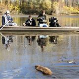 Video: Biberkrieg in Bayern - Bild 3