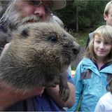 Video: Biberkrieg in Bayern - Bild 4