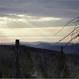 Video: Biberkrieg in Bayern - Bild 5