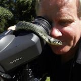 Video: Biberkrieg in Bayern - Bild 8