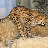 Erlebnismuseen: Lernen mit Spaß - Bild 6