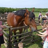 Erlebnismuseen: Lernen mit Spaß - Bild 12