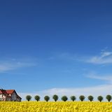 Die besten User-Fotos - April 2009 - Bild 2