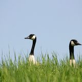 Die besten User-Fotos - April 2009 - Bild 3