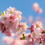 Die besten User-Fotos - April 2009 - Bild 4