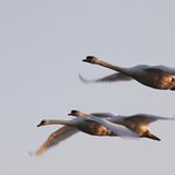 Die besten User-Fotos - April 2009 - Bild 7