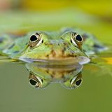 Die besten User-Fotos - April 2009 - Bild 9