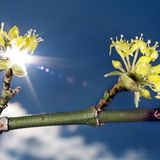 Die besten User-Fotos - April 2009 - Bild 10