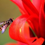 Die besten User-Fotos - April 2009 - Bild 11