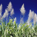 Die besten User-Fotos - April 2009 - Bild 12