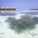 Die besten User-Fotos - April 2009 - Bild 14