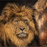 Die besten User-Fotos - April 2009 - Bild 15