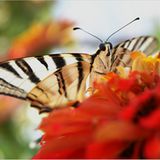 Die besten User-Fotos - April 2009 - Bild 18