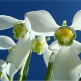 Die besten User-Fotos - April 2009 - Bild 21