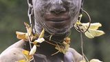 Fotogalerie: Naturkünstler - Bild 7